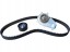 Китай 0059 ГРМ LOMBARDINI DCI 442 492 LIGIER XTOO IXO JS MICROCAR MGO DUE F8C М8