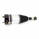 Arnott AS-380 10 2 повітряні амортизатори Arnott L+P для BMW 5 G31, 6 G32