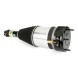 Arnott AS-380 10 2 повітряні амортизатори Arnott L+P для BMW 5 G31, 6 G32