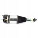 Arnott AS-380 10 2 повітряні амортизатори Arnott L+P для BMW 5 G31, 6 G32