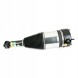Arnott AS-380 10 2 повітряні амортизатори Arnott L+P для BMW 5 G31, 6 G32