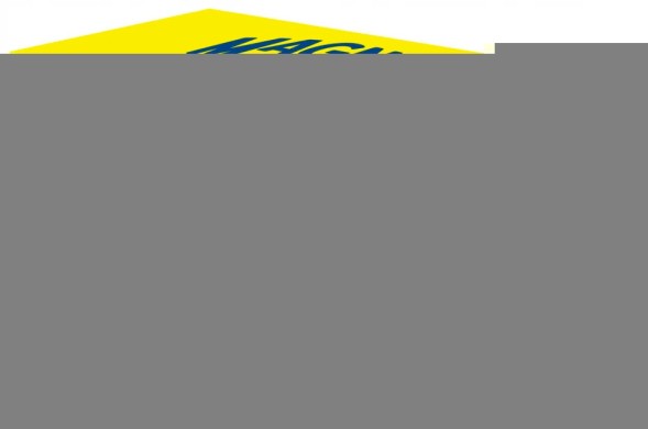 MAGNETI MARELLI 313011313156 Модуль паливного насоса magneti marelli 313011313156