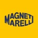 MAGNETI MARELLI 313011313019 Magneti marelli 313011313019 модуль паливного насоса