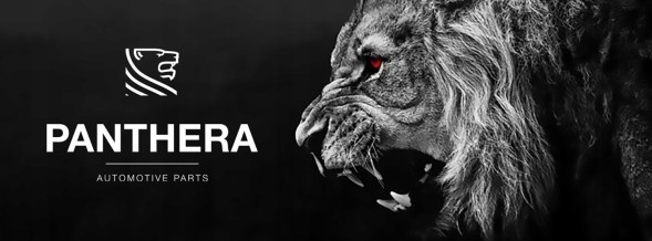 Panthera Automotive CHR-BR09706 Активний вихлоп Panthera Leo Active Sound 6.0 BMW 5 G30