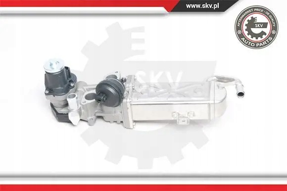 ESEN SKV 14SKV094 Клапан egr agr 14skv094 esen skv
