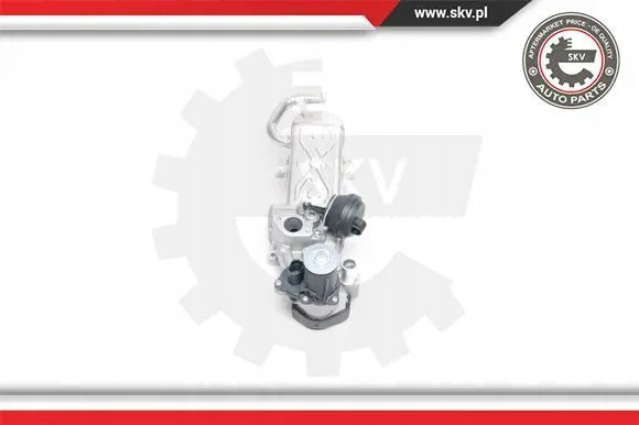 ESEN SKV 14SKV094 Клапан egr agr 14skv094 esen skv