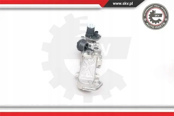 ESEN SKV 14SKV094 Клапан egr agr 14skv094 esen skv