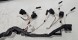 BMW OE 8654233 BMW OE ORG НОВИЙ ОРИГІНАЛЬНИЙ ДЖГУТ ПРОВОДІВ ДВИГУНА МОДУЛЬ ЗАПАЛЮВАННЯ BMW - 8654233