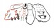 Triscan 8647 10099 Комплект ременя грм 8647 10099 triscan citroen