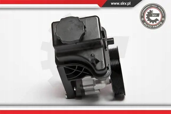 ESEN SKV 10SKV107 Насос гідропідсилювача 10скв107 esen skv mercedes