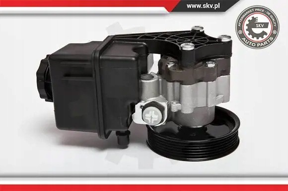 ESEN SKV 10SKV107 Насос гідропідсилювача 10скв107 esen skv mercedes
