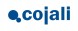 Cojali 2220503 Регул.Сили хам.Механічний cojali cojali 2220503