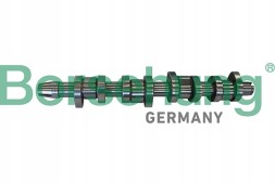 Borsehung B11306 Borsehung розподільний вал vw 1,9tdi/2,0td