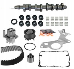 Borsehung B11306 Borsehung розподільний вал vw 1,9tdi/2,0td