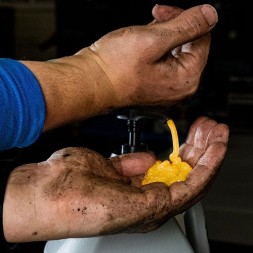10 406 NEO TOOLS Гелева паста для рук жовта 4л