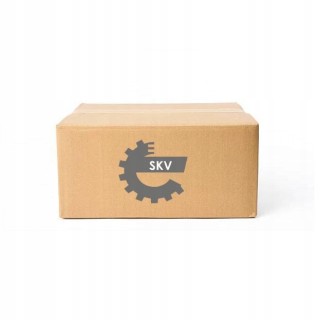 ESEN SKV 18SKV046 Вакуумний насос vacum 18skv046 esen skv bmw 3 e90