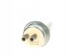 Bosch 0 438 170 031 Акумулятор тиску палива 0 438 170 031 bosch