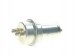 Bosch 0 438 170 031 Акумулятор тиску палива 0 438 170 031 bosch