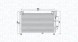 MAGNETI MARELLI 350203989000 Очищувач радіатора кондиціонера 350203989000