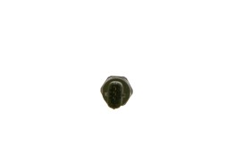Bosch 0 281 006 316 Bosch 0 281 006 316 датчик, тиск палива