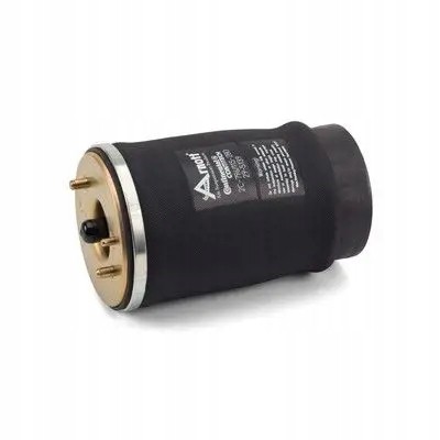 Arnott A-250 21 2x сильфони повітряної подушки Arnott REAR L+R для BMW X3 E53