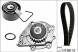 Schaeffler INA INA530 0376 30/SERW НАСОС ГРМ INA LAND ROVER FREELANDER 1.