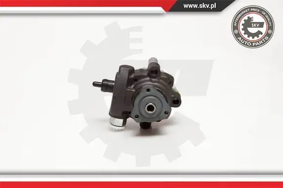 ESEN SKV 10SKV094 Насос гідропідсилювача 10скв094 esen skv