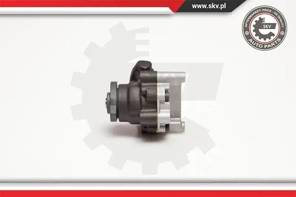 ESEN SKV 10SKV094 Насос гідропідсилювача 10скв094 esen skv