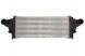 Thermotec DAM029TT Радіатор охолодження наддуву thermotec dam029tt