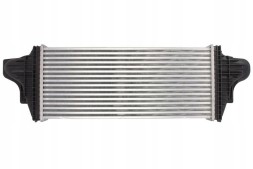 Thermotec DAM029TT Радіатор охолодження наддуву thermotec dam029tt