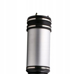 Proteile A2203205013 Airautopl АМОРТИЗАТОР ЗАДНІЙ ПНЕВМАТИЧНИЙ MERCEDES S-CLASS W220 AIRMATIC