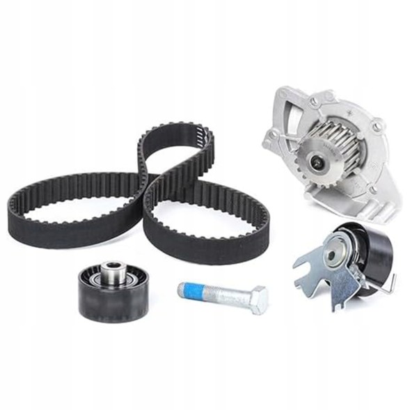Schaeffler INA Комплект ременя ГРМ + водяний насос 530 0449 30 INA