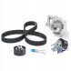 Schaeffler INA Комплект ременя ГРМ + водяний насос 530 0449 30 INA