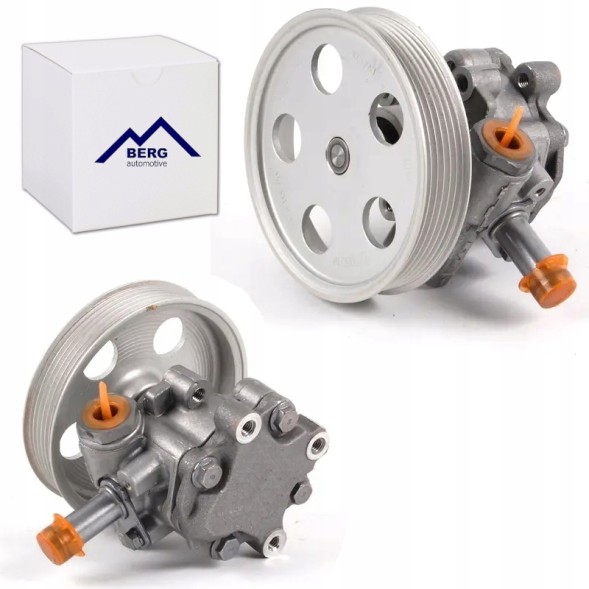 Berg Automotive POLS5013020 Б/у насос гідропідсилювача audi a4 b6 b7 2.0 fsi 2.0 tfsi