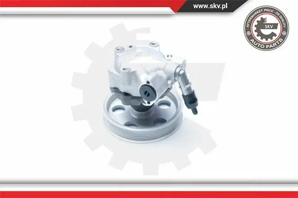 ESEN SKV 10SKV185 Насос гідропідсилювача 10скв185 esen skv