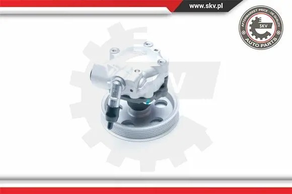 ESEN SKV 10SKV185 Насос гідропідсилювача 10скв185 esen skv