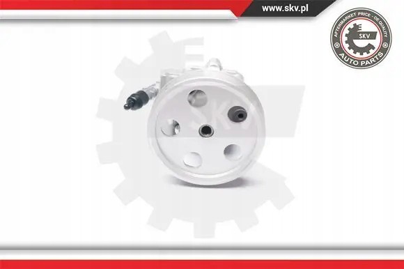 ESEN SKV 10SKV185 Насос гідропідсилювача 10скв185 esen skv