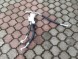 Peugeot OE CITROEN PEUGEOT DS OPEL ELEKTYK PRZEWOD RURKI KLIZMATYZACJI 9826918880D GT000 CITROEN PEUGEOT DS OPEL ЕЛЕКТРИК ПРОВІД ТРУБКИ КЛІЗМАТИЗАЦІЇ 9826918880D