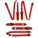 FMIC FP-HARNESS-31-003 Спортивні ремені під HANS з омологацією FIA, 6-точкові, 3", червоні FMIC Pro