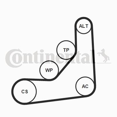 V-maxzone Part VIC-210878 Комплект поліклинового ременя 6 PK 1165 K1 для BMW 1 (F20), 1 (F21), 2 (F22,