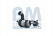 BM Catalysts BM80479H Каталізатор bm80479h bm catalysts citroen peugeot