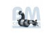 BM Catalysts BM80479H Каталізатор bm80479h bm catalysts citroen peugeot