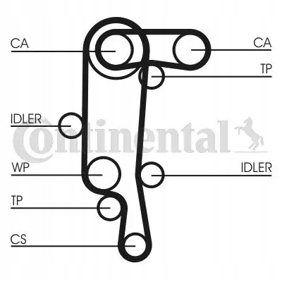 Continental CT957WP4 Комплект грм + водяний насос ct957wp4