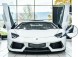 CHINA 470955275 LH 470955276 RH Заглушка омивача лампи lamborghini aventador 470955275 л