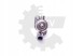 ESEN SKV 02SKV950 Паливний насос audi seat skoda vw ; двигуни 1.8 tsi 2.0 tsi ; 06х127025n