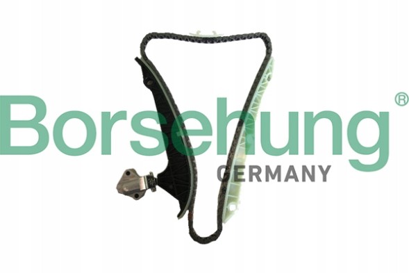 Borsehung B18778 Комплект грм 1.8 tsi skoda audi vw seat 06h198229c b18778