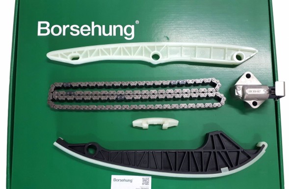 Borsehung B18778 Комплект грм 1.8 tsi skoda audi vw seat 06h198229c b18778
