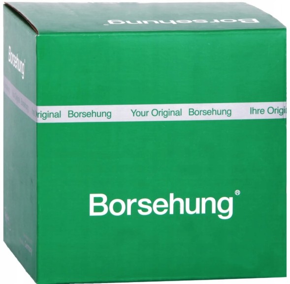 Borsehung B18778 Комплект грм 1.8 tsi skoda audi vw seat 06h198229c b18778