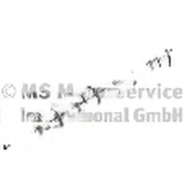 Kolbenschmidt 50006304 Розпредільний вал 50006304 kolbenschmidt audi ford