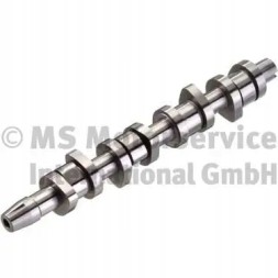 Kolbenschmidt 50006304 Розпредільний вал 50006304 kolbenschmidt audi ford